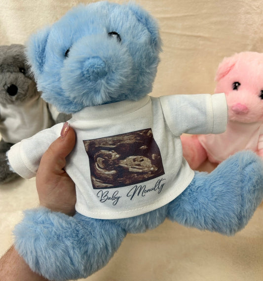 Personalised Photo Soft Bear