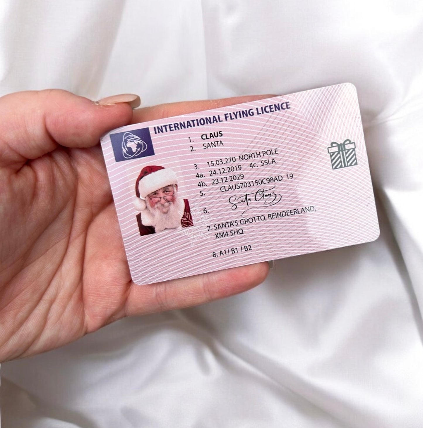 Santa Flying License